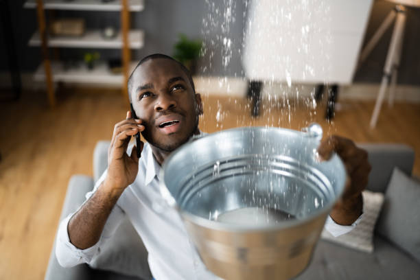 Best Mold removal after water damage  in Ambler, PA