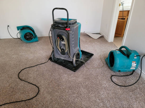 Water damage restoration process in Ambler, PA