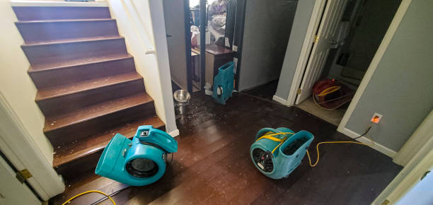 Best Carpet water damage restoration  in Ambler, PA