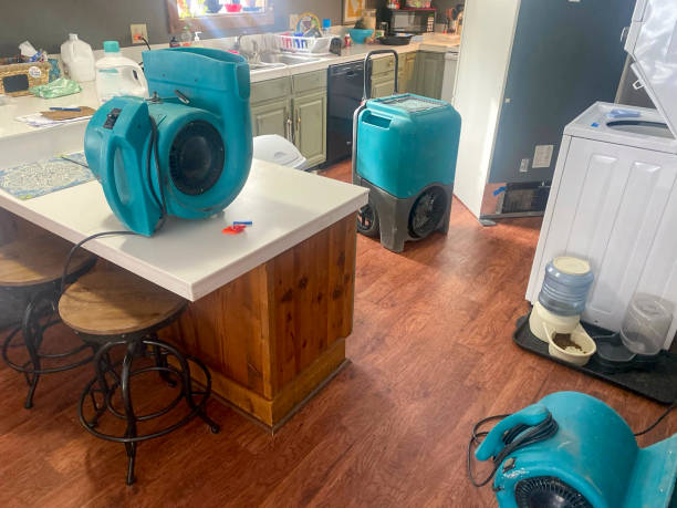 Best Fire Damage Restoration  in Ambler, PA