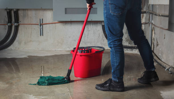 Best Flooded house restoration  in Ambler, PA