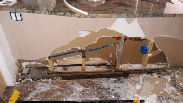 Best Water damage repair service  in Ambler, PA
