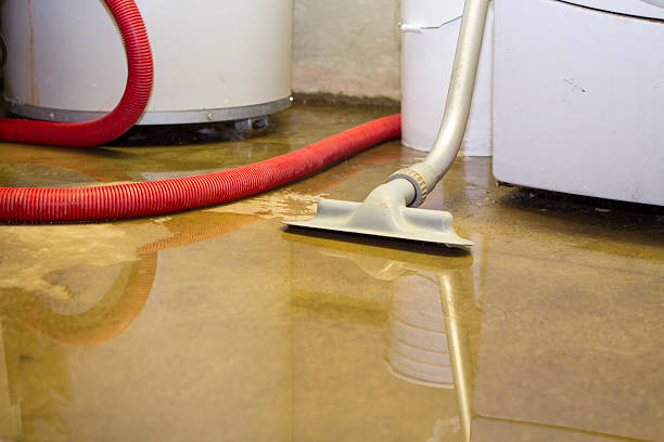 Best Water damage contractors near me  in Ambler, PA