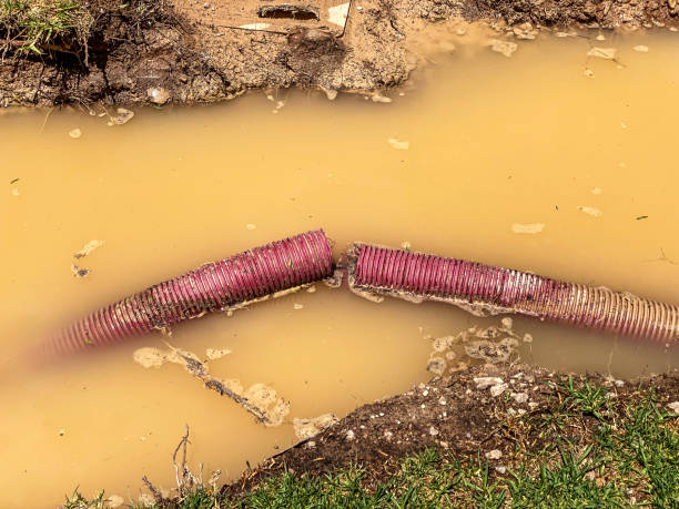 Water damage restoration experts in Ambler, PA