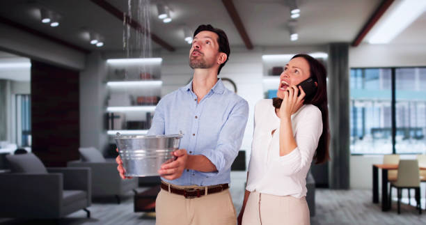 Best Professional water damage repair  in Ambler, PA